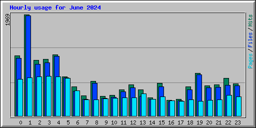 Hourly usage for June 2024