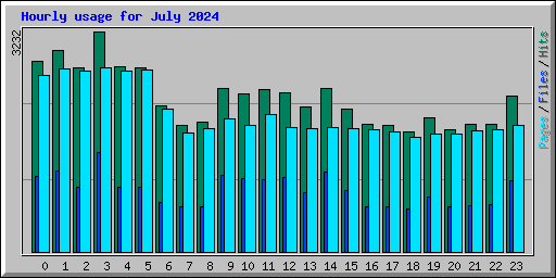 Hourly usage for July 2024