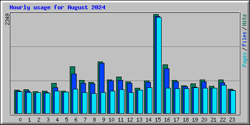 Hourly usage for August 2024