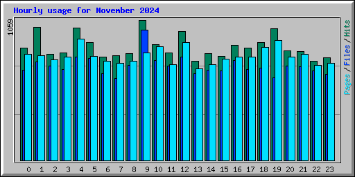 Hourly usage for November 2024