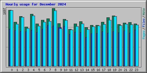 Hourly usage for December 2024