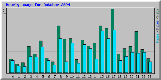 Hourly usage for October 2024